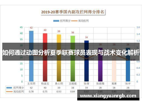 如何通过动图分析夏季联赛球员表现与战术变化解析