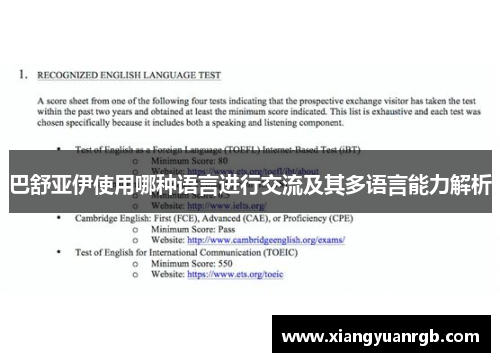 巴舒亚伊使用哪种语言进行交流及其多语言能力解析